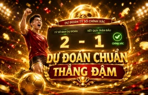 stlvogueknights Thể Thao